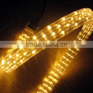 24 Volt Led Rope Light thumbnail-1