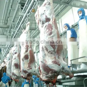 Cow Slaughter Slaughter Line for Cattle Cattle Slaughter Line thumbnail-1