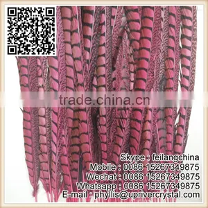 Top Selling New Design 90-100CM Watermelon Reeves Pheasant Feather thumbnail-2