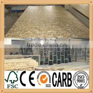 Professional OSB Board Manufacture in China thumbnail-1