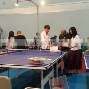 Table Tennis Table/pingpong Table For Club Using From China thumbnail-6