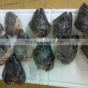 Frozen Greenland Halibut Head for Sale thumbnail-2