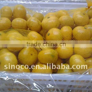 Sweet Mandarin/ Mandarin Orange thumbnail-1