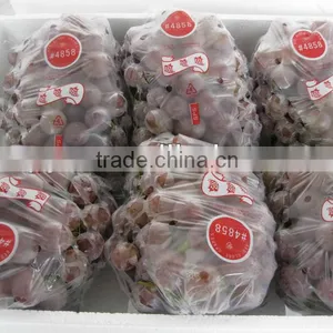 Red Globe Grape thumbnail-1