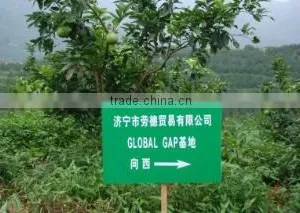 Jining Lord Trading Co., Ltd. company overview - view 2 thumbnail