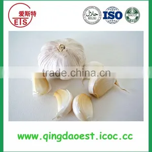 Jinxiang Fresh Best Price Normal White Garlic on Sale thumbnail-5