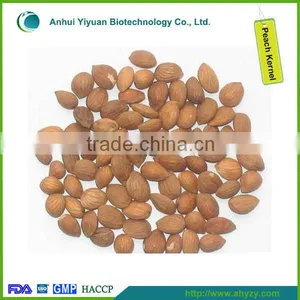 Chinese Dry Peach Kernel thumbnail-2