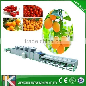 Blueberry Sorter Machine/bilberry Grader/bilberry Classifying Machine thumbnail-1