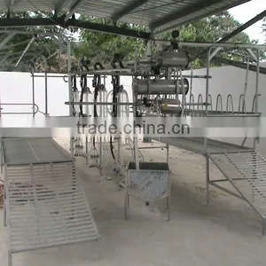 2014 Best Selling Brand Jade Cattle Goat Milking Equipment for Sale thumbnail-1