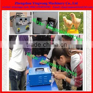 Chicken Beak Cutting Machine thumbnail-6