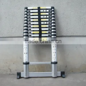 Longest Telescopic Ladder thumbnail-4