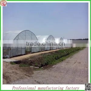 Arched Type Commercial Plastic Film Greenhouses for Tomatoes thumbnail-3