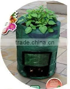4 Compartment Planter thumbnail-3