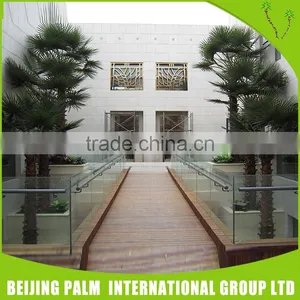 Best Selling Plastic Outdoor Palm Tree Artificial Plant thumbnail-1