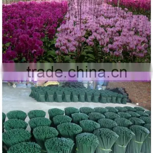 Nursery Tool Bamboo Products thumbnail-1