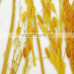 Transparent Resin Wall Panel thumbnail-1