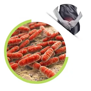 Chinese Supplier Supply Food Grade Lactobacillus Crispatus Probiotic Powder For Female Probiotic thumbnail-1