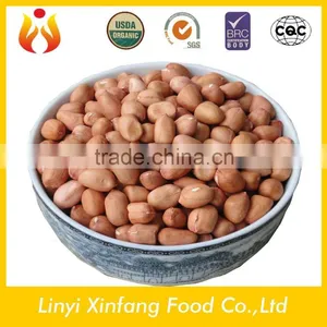 New Products Raw Peanut Raw Materail Peanut Kernels Price Peanut Kernels in China thumbnail-1