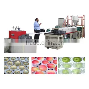 Plastic Machine EPE Foam Net Production Line thumbnail-2