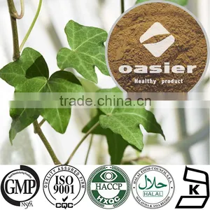 Health Food Plant Extract HPLC 5% to 10%Hedera Coside C Helix Extract(Ivy Leaf Extract) With ISO Kosher Certificate thumbnail-1