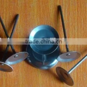 Insulation Anchor Thermal Insualtion Pin Insulation Nail Welding Pin thumbnail-6