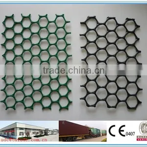 HDPE Plastic Geonet CE121 CE131 CE151 CE161 CE163 CE181 thumbnail-1