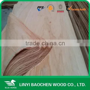TAUN WOOD Veneer thumbnail-5