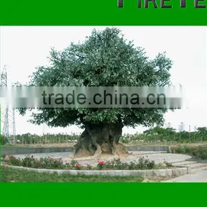 Wholesale Artificial Banyan Tree/Ficus Religiosa thumbnail-3