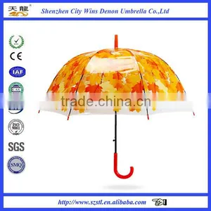 Shenzhen City Winds Denon Produced High Quality 23" Promotional Custom Printing Clear Dome Umbrella thumbnail-3