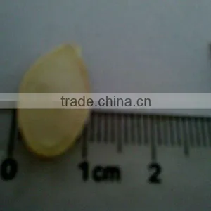 High Quality Shine Skin Pumpkin Seeds for Sale thumbnail-1