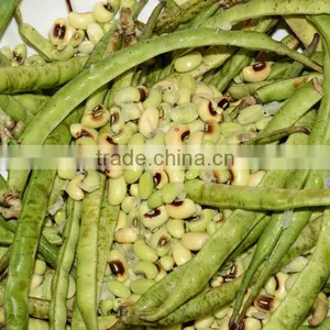 Black Eyed Beans New Crop thumbnail-4
