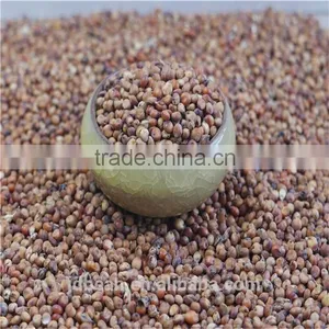 Natural Glutinous Red Sorghum Price thumbnail-2