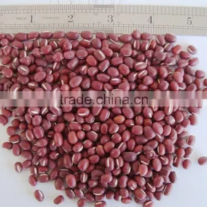 Small Size Adzuki Beans Red Ball Beans thumbnail-1