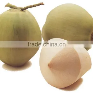 Fresh Young Coconut (Diamond/ Polish Shape) VIET NAM thumbnail-1