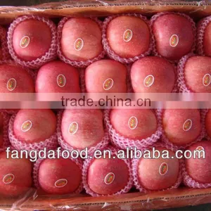Red Fuji Apple Fruits thumbnail-1