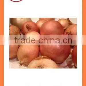 Export China Fresh New Crop Red and Yellow Onion thumbnail-3