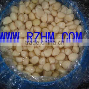 Salted Garlic Segments thumbnail-1
