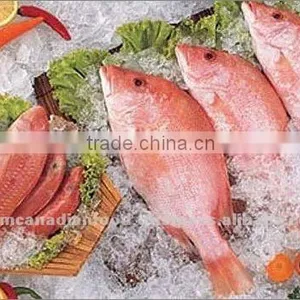 Frozen Red Mullet Sea Fish thumbnail-1