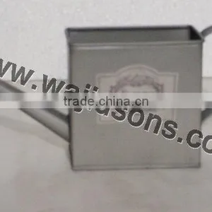 Watering Can Hot Design, Watering Can High Quality thumbnail-1