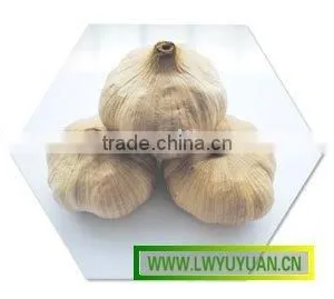 Black Garlic thumbnail-1