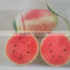 2 Pcs/Minute Automatic Industrial Watermelon Peeler Peeling Machine thumbnail-5
