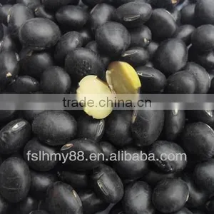Black Bean/black Soya Bean/black Soybean With Yellow Kernel thumbnail-1