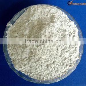 Micron Grade Diatomite Powder thumbnail-1