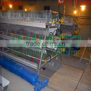 Supply Hot Sale Cheap Innaer Cock Cage for Broiler thumbnail-1