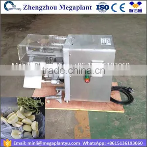 Electric Apple Slicer Electric Machine thumbnail-5