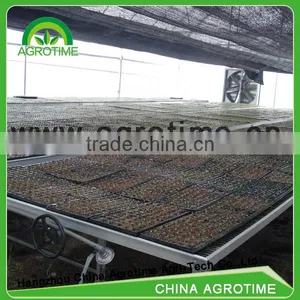 High Qualified Seeded Benching System in Greenhouse thumbnail-1