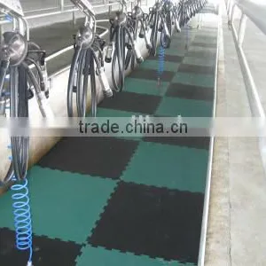 Free Sample!!! Interlocking EVA Wall Rubber Mat/flooring thumbnail-1