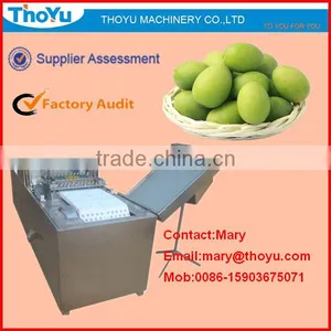 Olive Kernel Removing/Remover/ Seed Extracting Machine/ Separator/ Separating Machine(SMS: 0086-15903675071) thumbnail-1