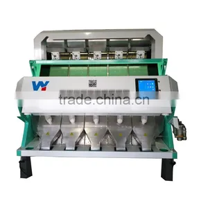 5 Chutes High Productivity Fresh Garlic Color Sorting Machine thumbnail-5