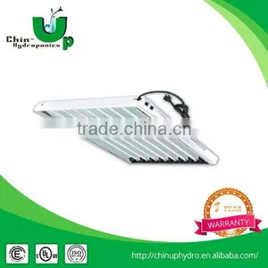 t5 Fluorescents Lighting Fixture/t5 Yellow Color Fluorescent Lamp Tube/fluorescent Light t5 thumbnail-4